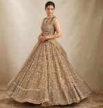 Women's Net Embroidery Sequence Work Lehenga Choli Unstitch Blouse with Dupatta - Image 4